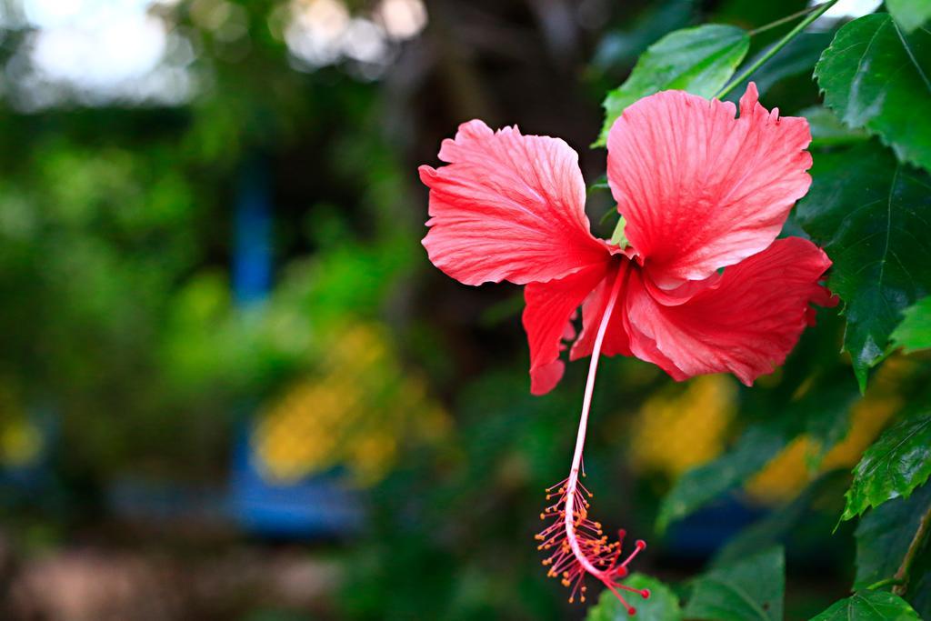 Habitat Resort Broome Ngoại thất bức ảnh